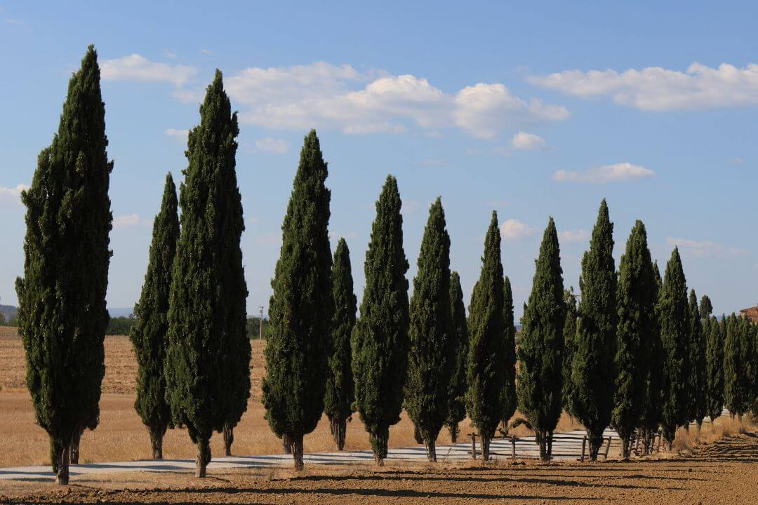 Los mitos griegos y la naturaleza