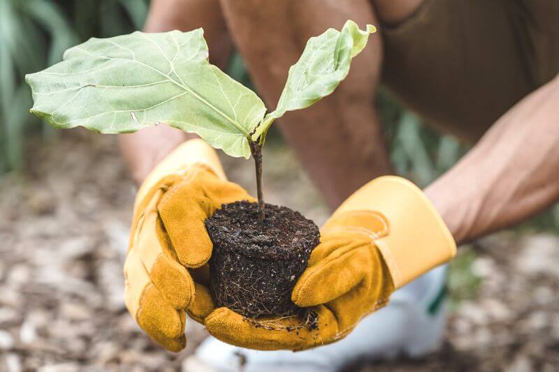 practicar la resiliencia en la naturaleza