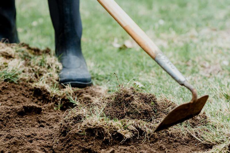 Descubre cómo preparar la tierra para plantar con greenline gardens