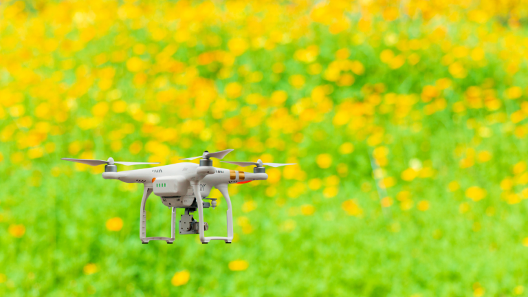 Mantenimiento de jardines y tecnologías que ayudan a su diseño